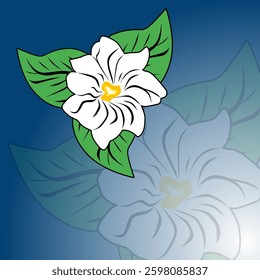 Jasmine flower vector which is often considered as a symbol of happiness, peace and luck