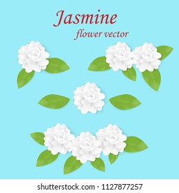 Jasmine flower vector.Fragrance flower.Jasmine is the symbol of Mother's Day in thailand.