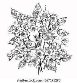 ジャスミンの花 ビンテージの優雅な花 白黒のベクターイラスト 植物学 のベクター画像素材 ロイヤリティフリー Shutterstock