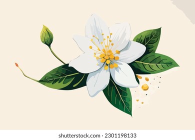 Jasmine flower watercolor floral art editable vactor 