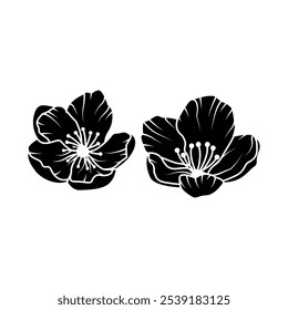 Jasminblumen. Schwarz-weiße Vektorgrafik einzeln auf weißem Hintergrund.