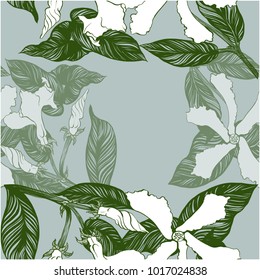 Jasmine - flowers, buds, leaves. Seamless background. Vector image. Wallpaper. Use printed materials, decoupage maps, posters, postcards, packaging.