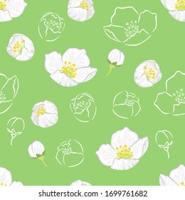 Jasmine flowers and buds seamless pattern. Vector cartoon color illustration of beautiful blooming Jasmine on green background. White outline.