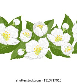 Jasmine flowers horizontal seamless pattern. Vector illustration of floral
garland, border, frame isolated on white background. Cartoon, flat style.