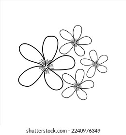 Jasmine flowers in minimal style. Linear illustration of jasmine flowers isolated on white background. Floral vector illustration