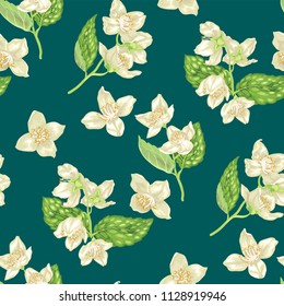 Jasmine flowers on branches in seamless pattern in realistic graphic vector illustration