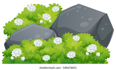 Jasmine flowers on green bush illustration