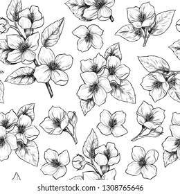 Jasmine flowers. Vector seamless pattern. Vintage style
