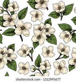 Jasmine flowers. Vector seamless pattern. Vintage style