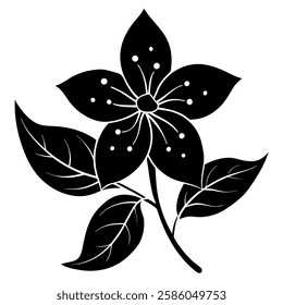 jasmine flowers vector silhouette  with small petals on the white background