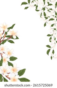 Jasmine and frangipani flower frame design