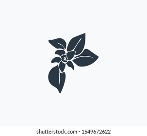 Jasmine icon isolated on clean background. Jasmine icon concept drawing icon in modern style. Vector illustration for your web mobile logo app UI design.