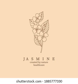 Jasmine illustration. Botanical card for aromatherapy, organic cosmetics, perfumery