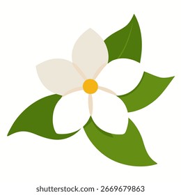 Jazmín aislado sobre fondo blanco. Diseño de arte floral.