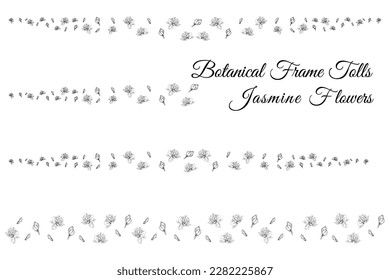 jasmine line flower petals flowers.
frame tolls background vector illustration.