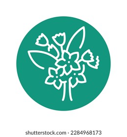 Jasmine сolor line icon. Pictogram for web page.