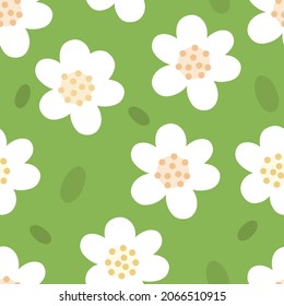 Jasmine pattern. White flowers, tropical plant. Lemon flowers seamless pattern. Japanese or Chinese nature. Green tropical leaf. Tea, peony or jasmine. for textiles or design decoration. Vector 