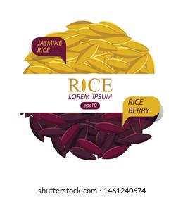 Jasmine rice, Rice berry, Rice grains vector illustration.