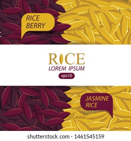 Jasmine rice, Rice berry, Rice grains vector illustration.