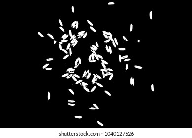 Jasmine rice, Brown rice and mixed rice on table top view. Silhouette of flakes, spread on the flat surface or table. Vector.