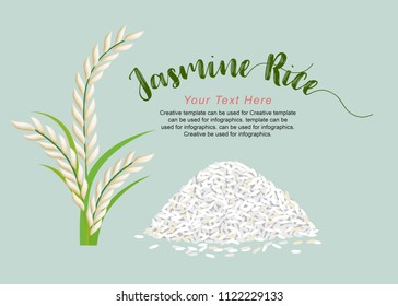 Jasmine Rice, Vector illustration design.
