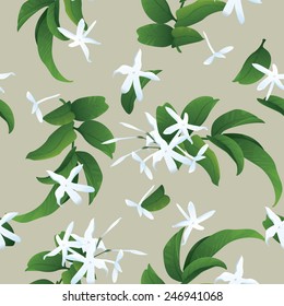 Jasmine seamless background