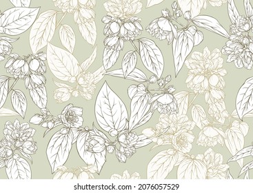 Jasmine Seamless pattern, background. Outline vector illustration. In botanical style.