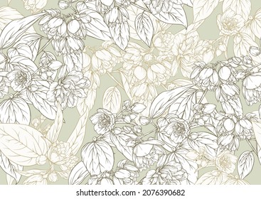 Jasmine Seamless pattern, background. Outline vector illustration. In botanical style.
