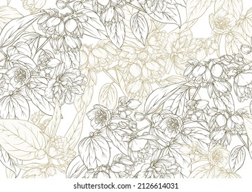 Jasmine Seamless pattern, background. Vector illustration. In botanical style on white background.
