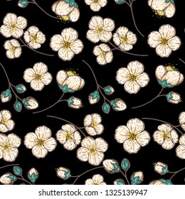 Jasmine seamless pattern. Floral illustration.  Hand drawn vector illustration. Design template. 