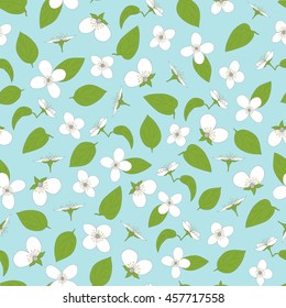Jasmine seamless pattern. Hand-drawn flowers and leaves. White on blue. The natural background. Vector illustration