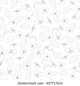 Jasmine seamless pattern. Hand-drawn flowers and leaves. Linear style. Black outline on white. The natural background. Vector illustration.
