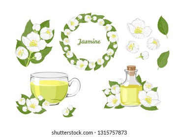 Jasmine set. Branch, wreath, tea and essential oil isolated on white background. Vector illustration of white jessamine flowers and green leaves in cartoon flat style.