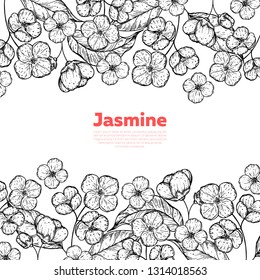 Jasmine sketch. Hand drawn vector illustration. Jasmine frame. Design template.