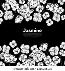 Jasmine sketch. Hand drawn vector illustration. Jasmine frame. Design template.
