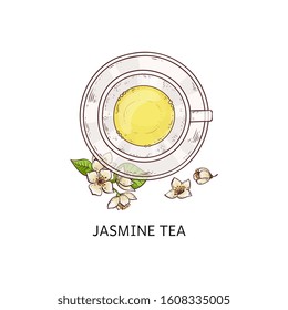 Jasmine tea top view drawing - glass cup with yellow beverage on plate with white flower and leaf arrangement, healthy traditional drink - isolated hand drawn vector illustration