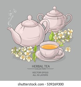 jasmine tea vector illustration