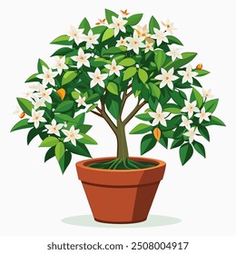 Jasmine tree in pot vector