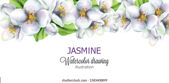 Jasmine Watercolor Drawing With Flowers On Top. Vector