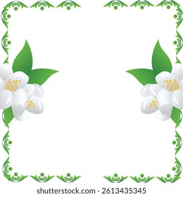 Jasmine White Fragrant Flower Vector Illustration