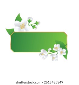 Jasmine White Fragrant Flower Vector Illustration