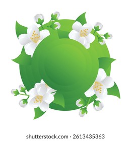 Jasmine White Fragrant Flower Vector Illustration