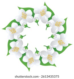 Jasmine White Fragrant Flower Vector Illustration