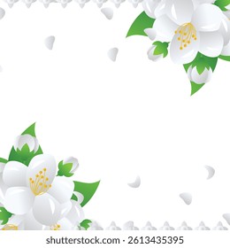 Jasmine White Fragrant Flower Vector Illustration