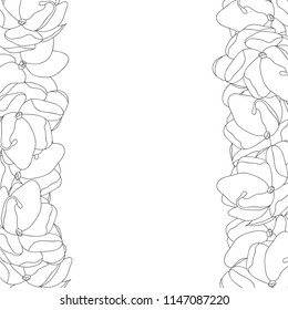 Jasminum sambac - Arabian Jasmine Outline Border. Vector Illustration.
