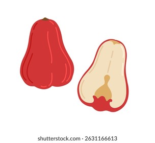 Java apple, Semarang rose-apple, and wax jambu. Whole, halved and piece. Vector hand-drawn illustration, isolated on white background.