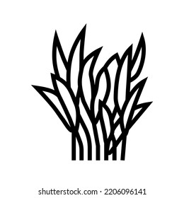 java fern line icon vector. java fern sign. isolated contour symbol black illustration