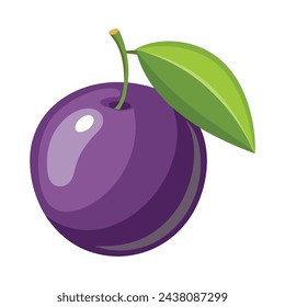 Java plum fruit isolated flat vector illustration