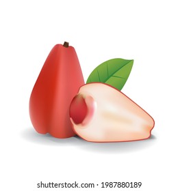 Java Rose Apple Water Guava Fresh Fruit Summer Isolated Vector Illustration