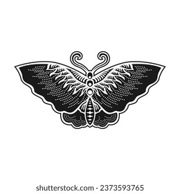 Javanese butterfly icon vector image illustration